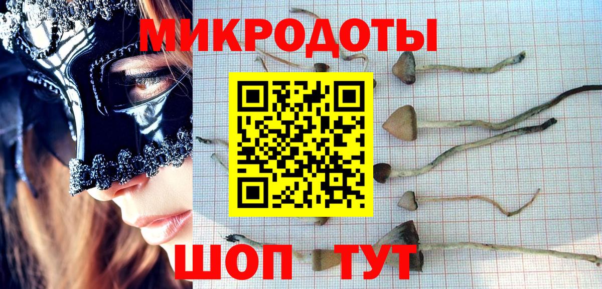 Галлюциногенные грибы прущие грибы  Вход с VPN  Каменка 